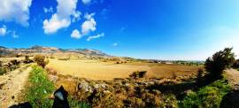 32,000 m2 of fields with a road in Kyrenia.
