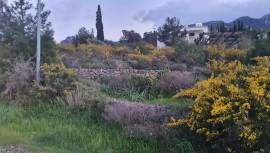 Girnenin  elit bölgesi Edremit te  manzaralı villa proje. 